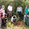 National Plantation Day Environment Program 2022.09.17 - 23 Rukropana Week / Homagama